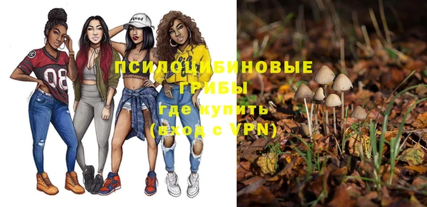 Альфа ПВП Алексеевка