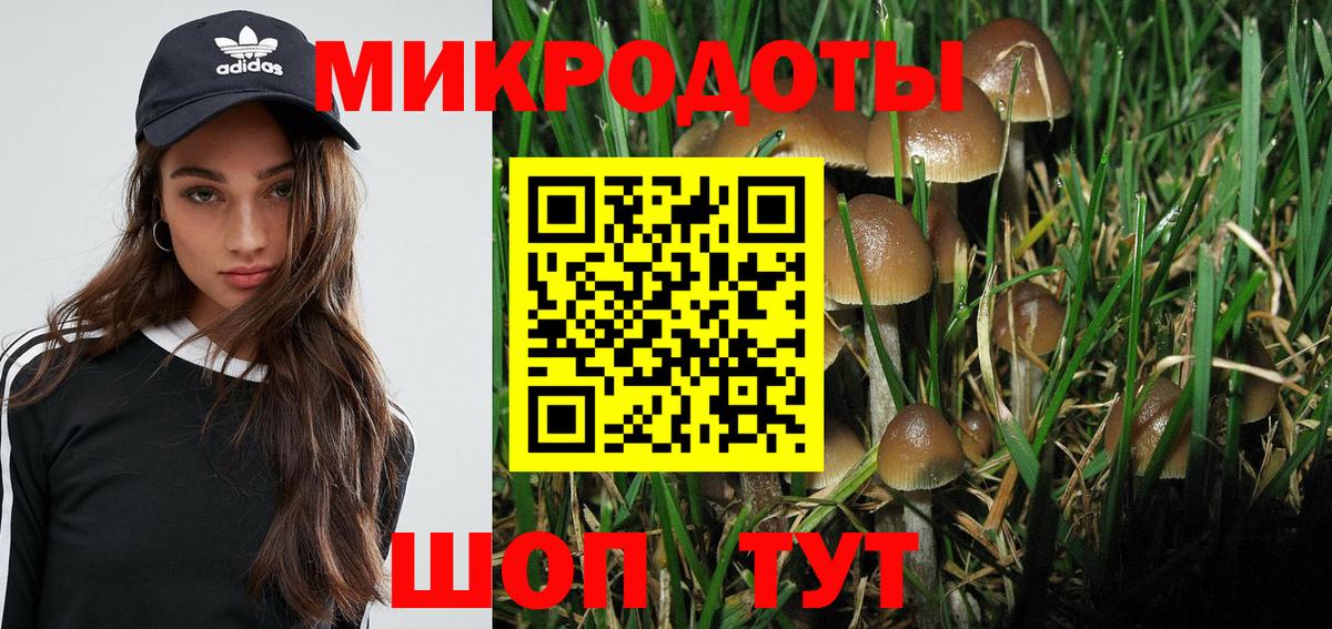 Псилоцибиновые грибы GOLDEN TEACHER Котлас