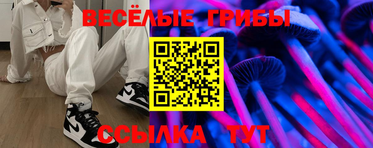 Котлас  Галлюциногенные грибы GOLDEN TEACHER  Галлюциногенные грибы Psilocybine cubensis  купить наркоту  Вход с VPN 