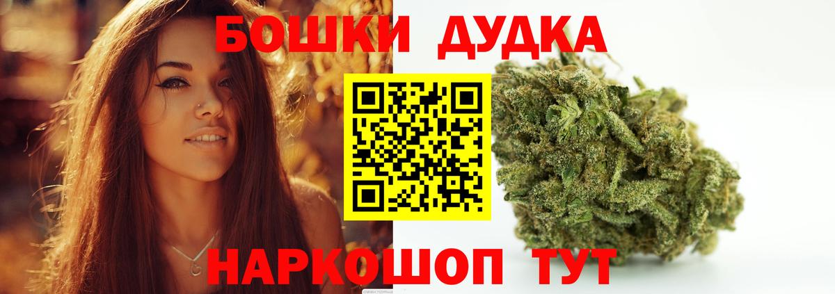 Котлас  Канабис планчик  МАРИХУАНА семена  Вход с VPN 